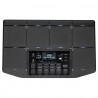 KORG MPS-10 Korg