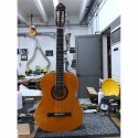 EKO CS10 PLUS Natural + Bag Omaggio!