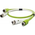 NEO OYAIDE D+ XLR Class B 5mt