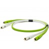 NEO OYAIDE D+ RCA Class B 2mt NEO OYAIDE