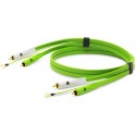 NEO OYAIDE D+ RCA For Turntable Class B 1MT